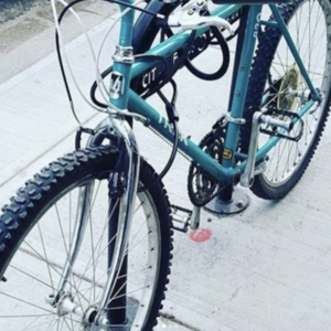 1988 Trek Steel frame Teal