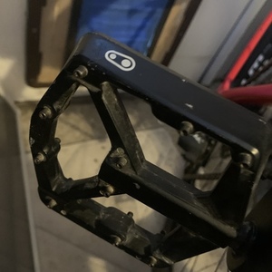 2019 Salsa Warbird Pink