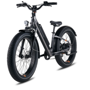 2022 Rad Power Bikes Rad Rover 6 Plus