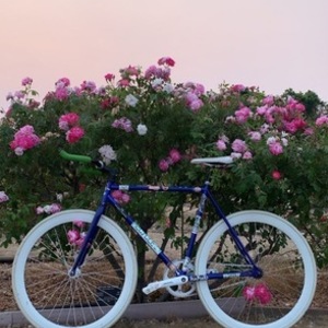 2022 Other Blue and Stickers tape or other cover-up