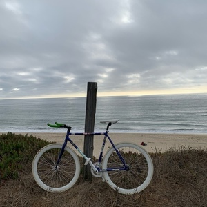 2022 Other Blue and Stickers tape or other cover-up