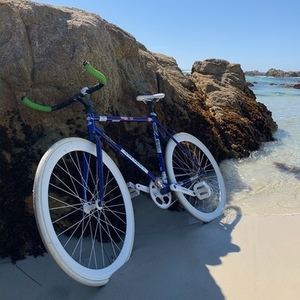 2022 Other Blue and Stickers tape or other cover-up