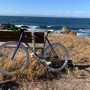 2022 Other Blue and Stickers tape or other cover-up