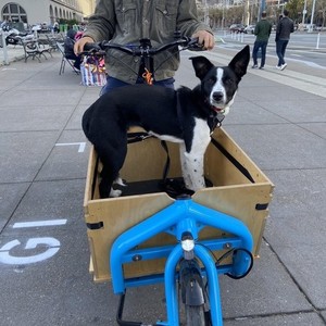 LarryvsHarry Bullitt e6100 Blue