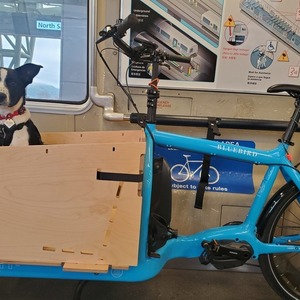 LarryvsHarry Bullitt e6100 Blue