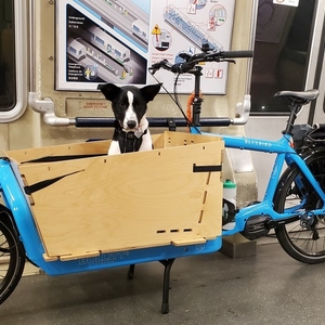 LarryvsHarry Bullitt e6100 Blue