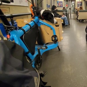 LarryvsHarry Bullitt e6100 Blue