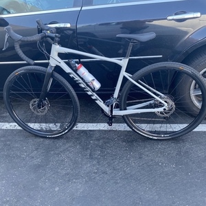 2021 Giant Revolt 2 Silver, gray or bare metal