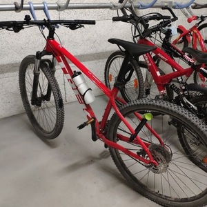 2020 Trek Marlin 7 Red