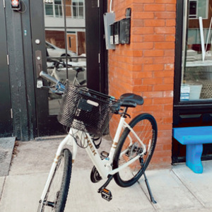 2021 Trek Verve 1 Disc Low Step M Era White 21 White