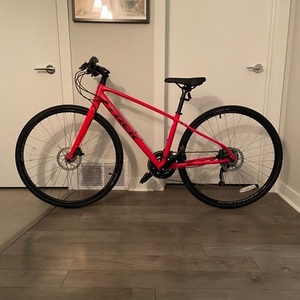 2022 Trek FX2 Red