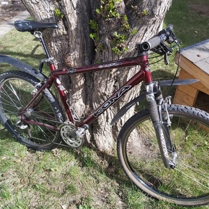 Kona Caldera Red