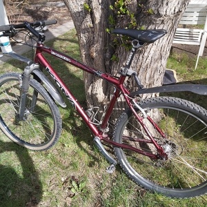 Kona Caldera Red