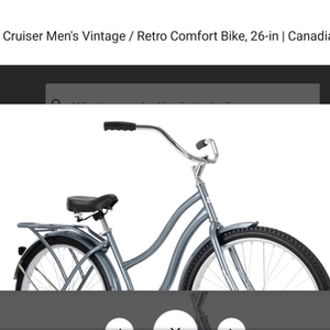 2020 Supercycle 16.5" steel Silver, gray or bare metal