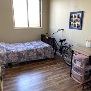 2020 Supercycle 16.5" steel Silver, gray or bare metal