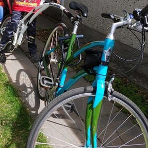 2013 Electra Verse Green and Teal