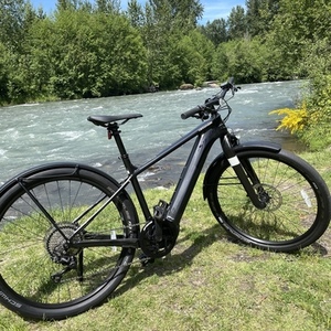 2021 Cannondale Canvas Neo Black