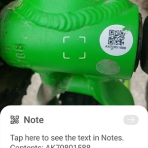 2018 Kona Fire Mountain Green