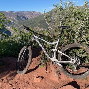 2019 SCOTT Genius Silver, gray or bare metal