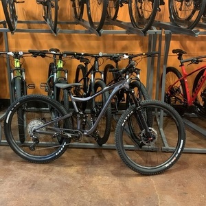2021 Giant Trance 3 Silver, gray or bare metal