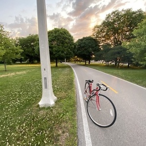 Schwinn world sport Red