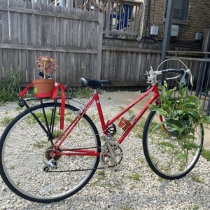 Schwinn world sport Red