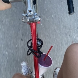 Schwinn world sport Red