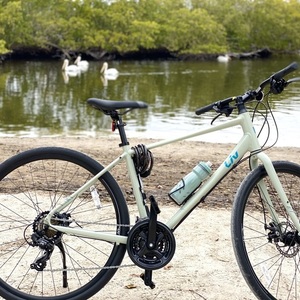 2021 Giant Alight Green