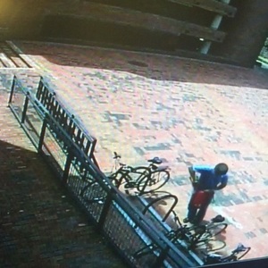 2012 Redline DS1 Silver or Gray