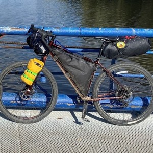 2020 Salsa Fargo Brown