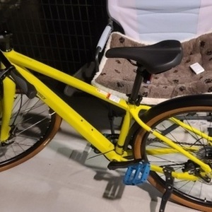 2022 Diamondback Yellow or Gold