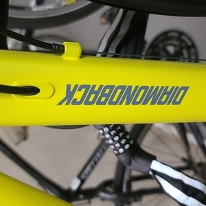 2022 Diamondback Yellow or Gold