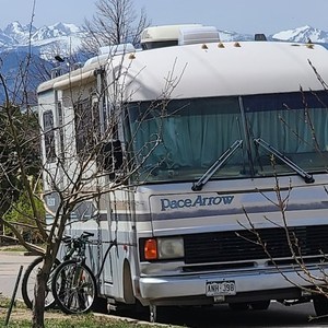 2018 Motobecane Fat tire bike Black