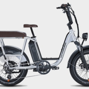 2022 Rad Power Bikes runner plus Silver, gray or bare metal