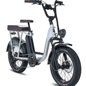 2022 Rad Power Bikes runner plus Silver, gray or bare metal