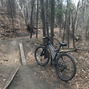 2009 Giant Rincon Brown