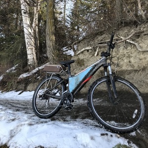 2009 Giant Rincon Brown