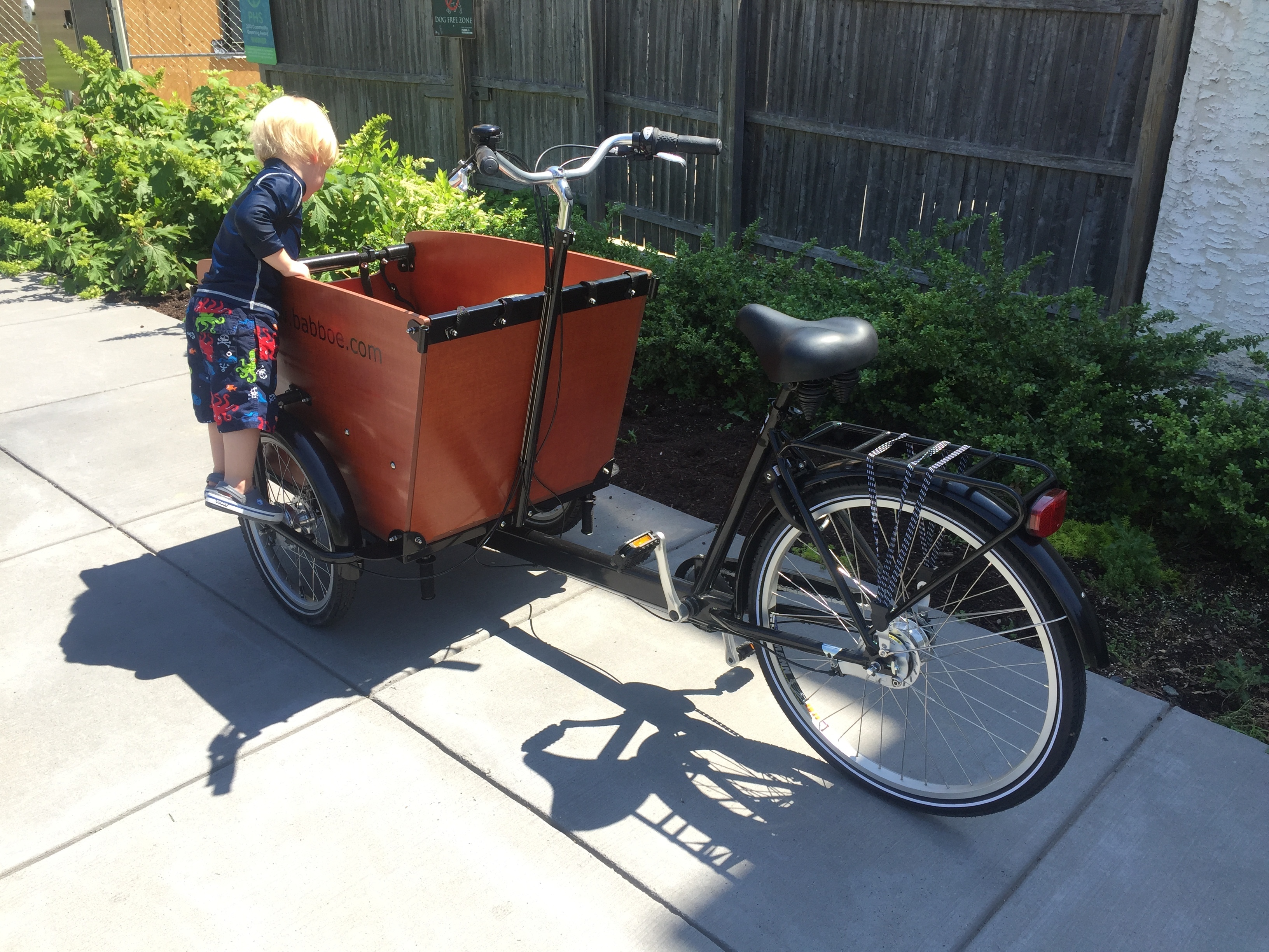 2016 Babboe cargo tricycle (front storage)