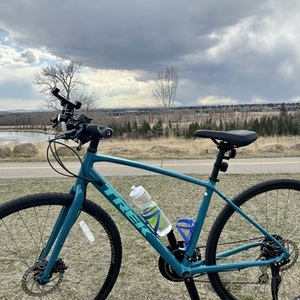 2021 Trek FX 2 Disc Women Teal