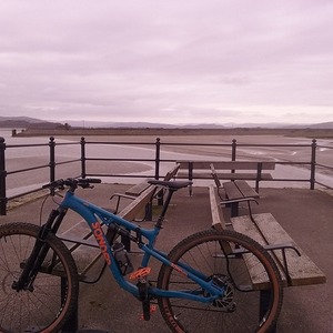 2020 Sonder Evol GX Eagle Blue