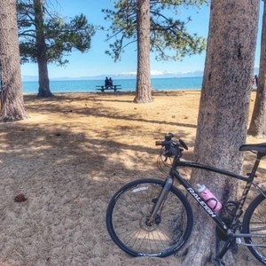 2015 Raleigh Black