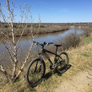 2007 Specialized Hardrock Comp Disc Brown