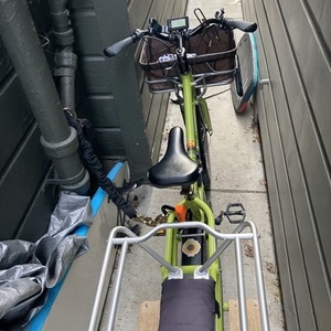 2016 Yuba Spicy Curry Green