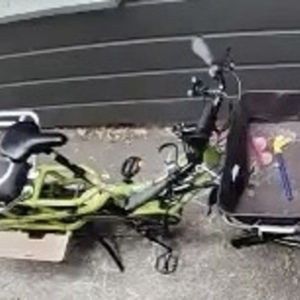 2016 Yuba Spicy Curry Green