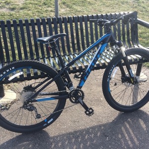 Giant Black and Blue