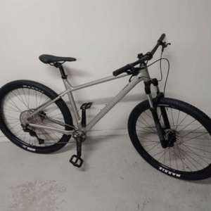 2021 Norco Bikes Storm 1 Silver, gray or bare metal