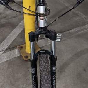 Motobecane Fantom Silver, gray or bare metal