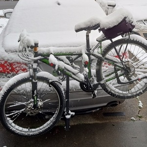 Trek Black and Green