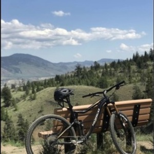 2012 Norco Bikes Shinobi 1 Black and Yellow or Gold