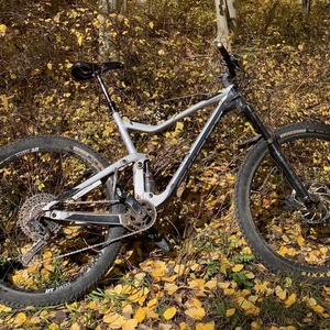 2019 SCOTT Genius Silver, gray or bare metal